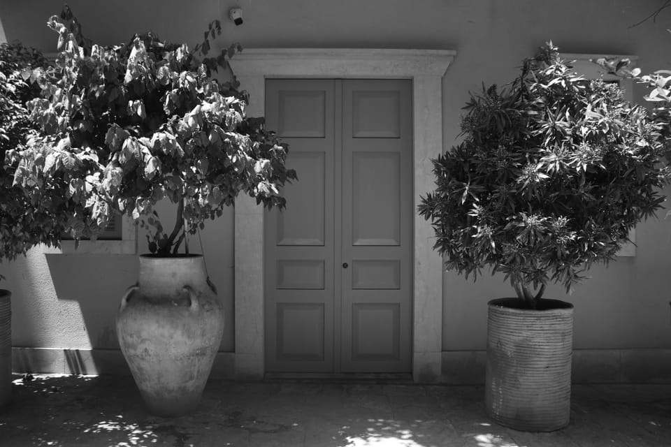 Black-and-white photograph of a closed panelled door flanked by two potted trees in hard sunlight